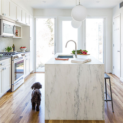 Windsor Terrace House Renovation